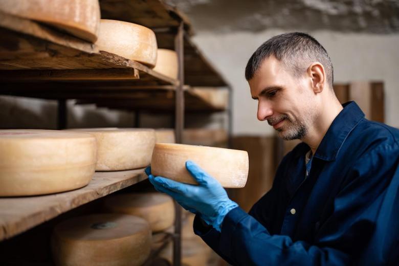 В ТГУ ищут безопасный способ борьбы с опасной бактерией сыров